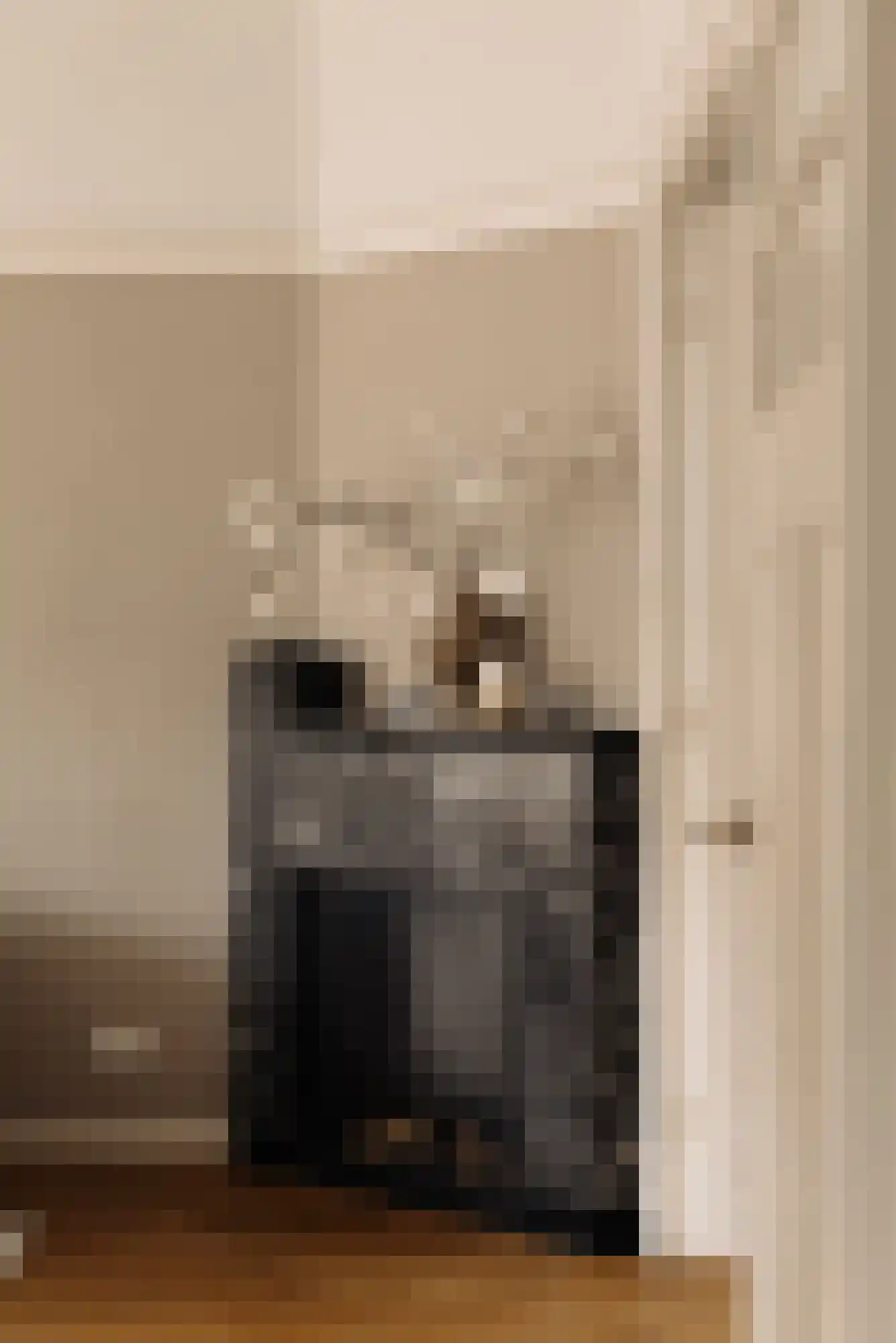 Parnassusweg 34 H Amsterdam thumbnail 11