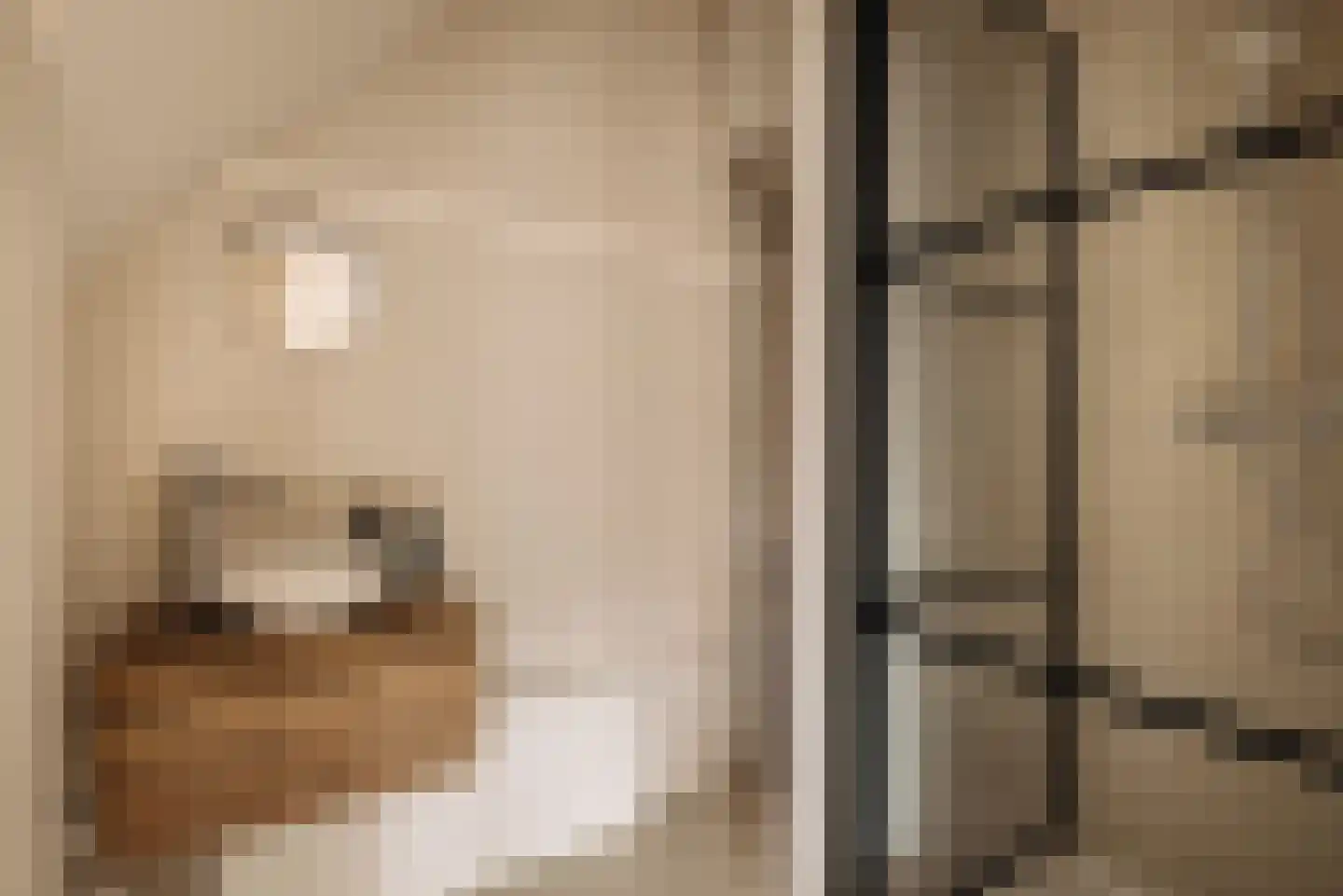 Parnassusweg 34 H Amsterdam thumbnail 15