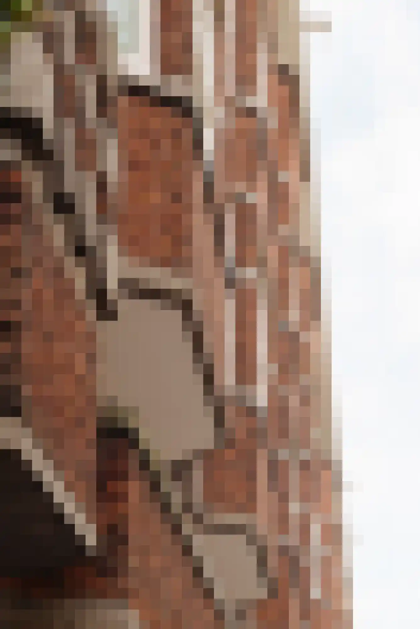 Parnassusweg 34 H Amsterdam thumbnail 8