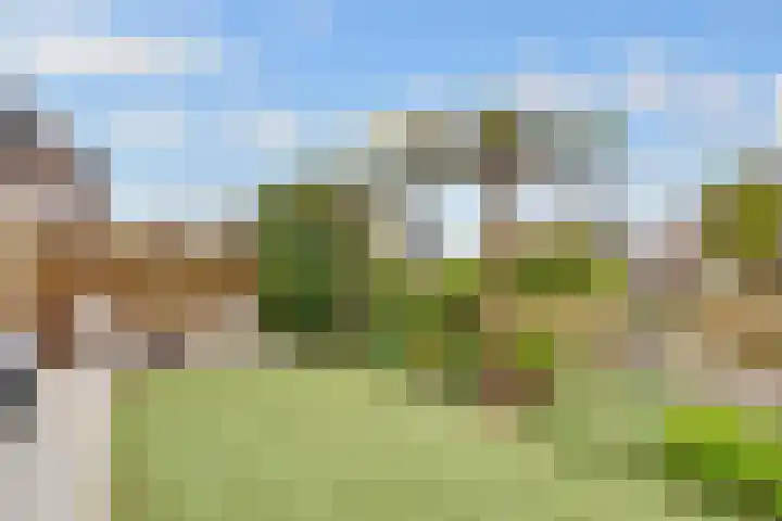 Paros 7 Hoofddorp thumbnail 30