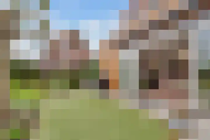 Paros 7 Hoofddorp thumbnail 31