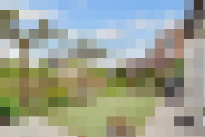 Paros 7 Hoofddorp thumbnail 32