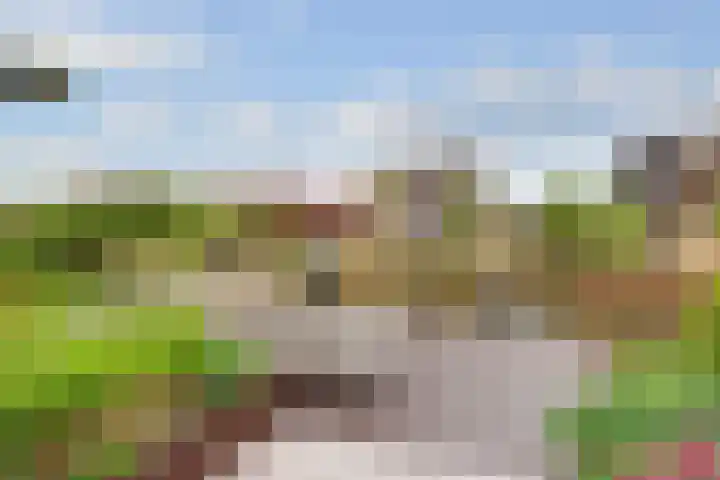 Paros 7 Hoofddorp thumbnail 34