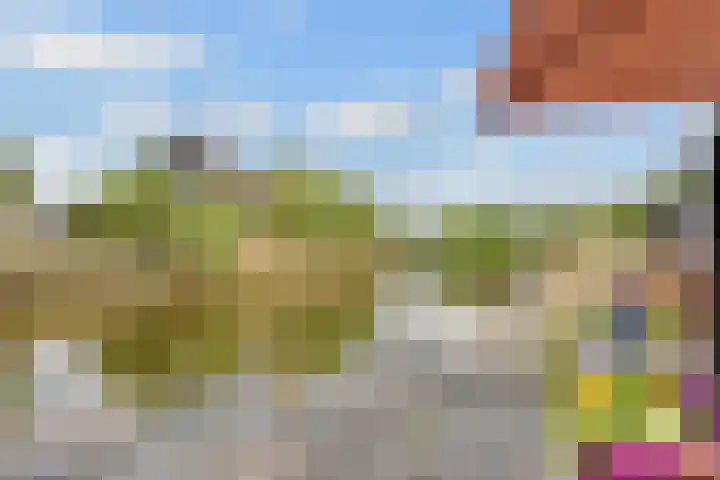 Paros 7 Hoofddorp thumbnail 36