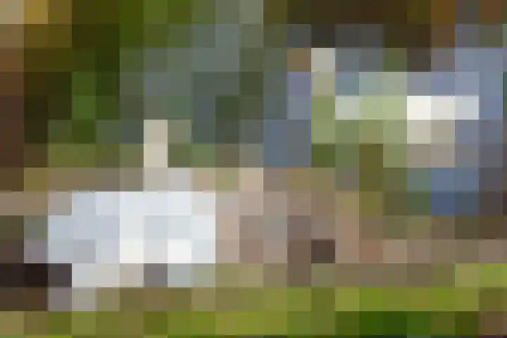 Paros 7 Hoofddorp thumbnail 37