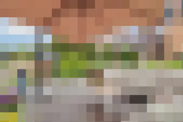 Paros 7 Hoofddorp thumbnail 38