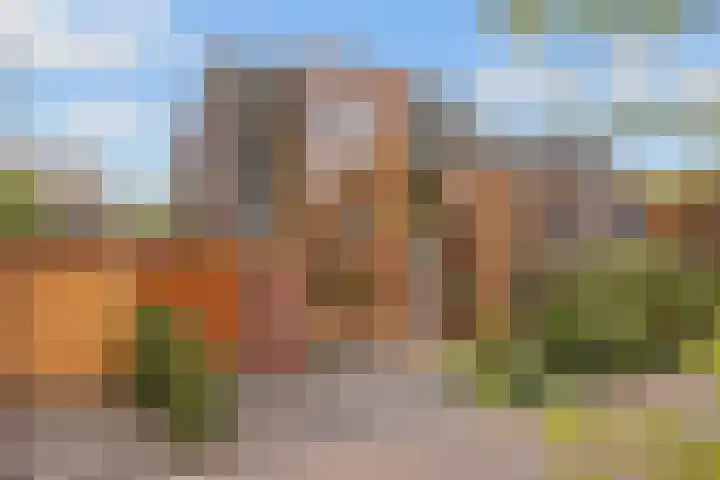 Paros 7 Hoofddorp thumbnail 4