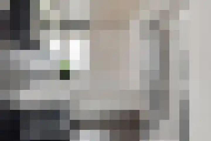 Paros 7 Hoofddorp thumbnail 46