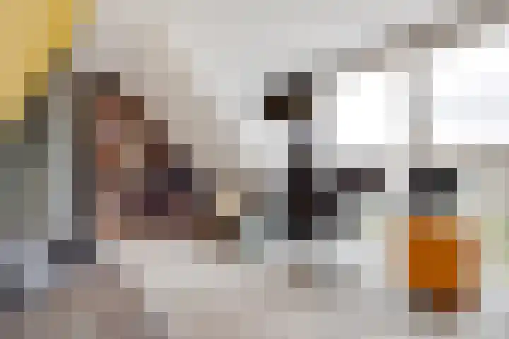 Paros 7 Hoofddorp thumbnail 55