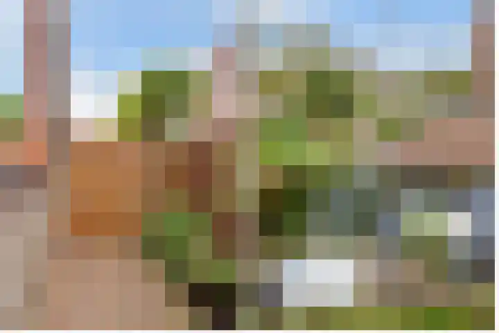 Paros 7 Hoofddorp thumbnail 6