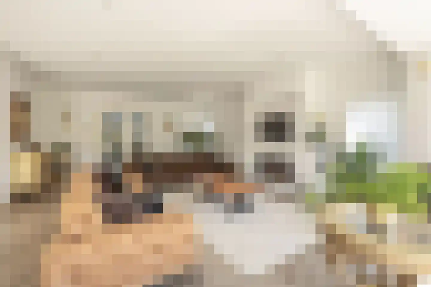 Parosstraat 6 Amsterdam thumbnail 10
