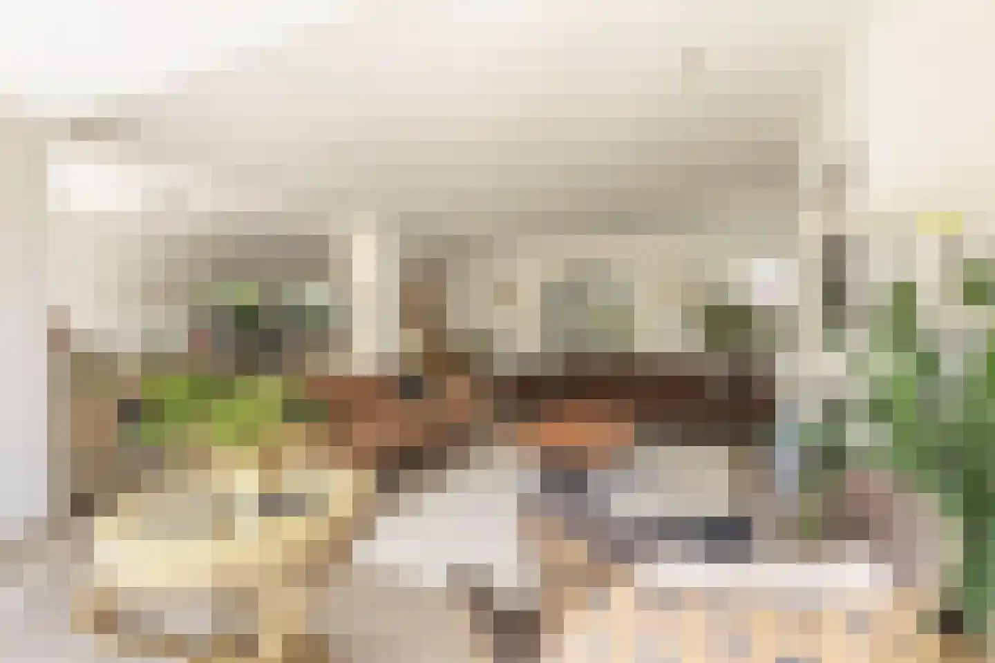 Parosstraat 6 Amsterdam thumbnail 11