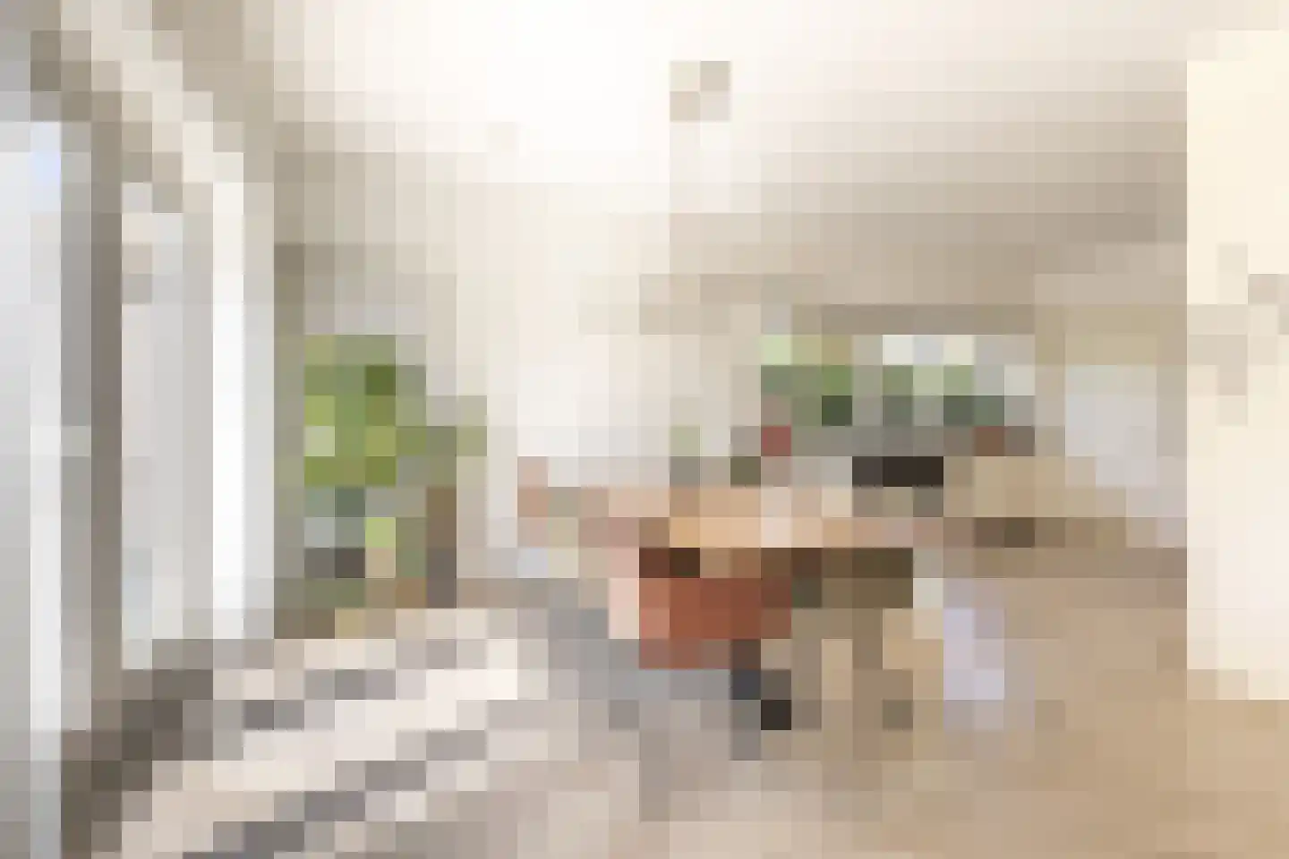 Parosstraat 6 Amsterdam thumbnail 13