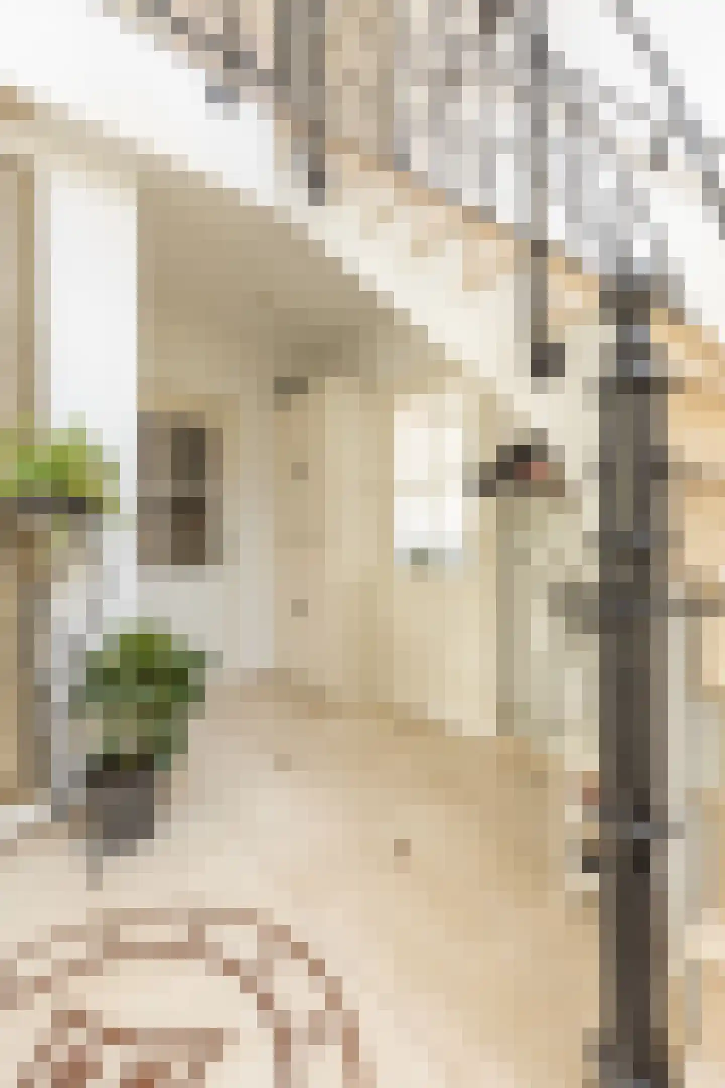 Parosstraat 6 Amsterdam thumbnail 18