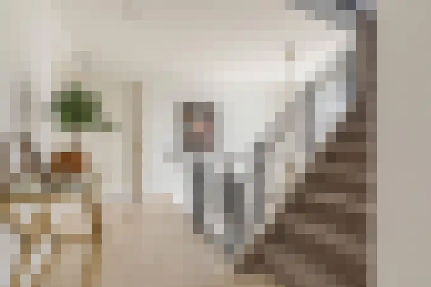 Parosstraat 6 Amsterdam thumbnail 23