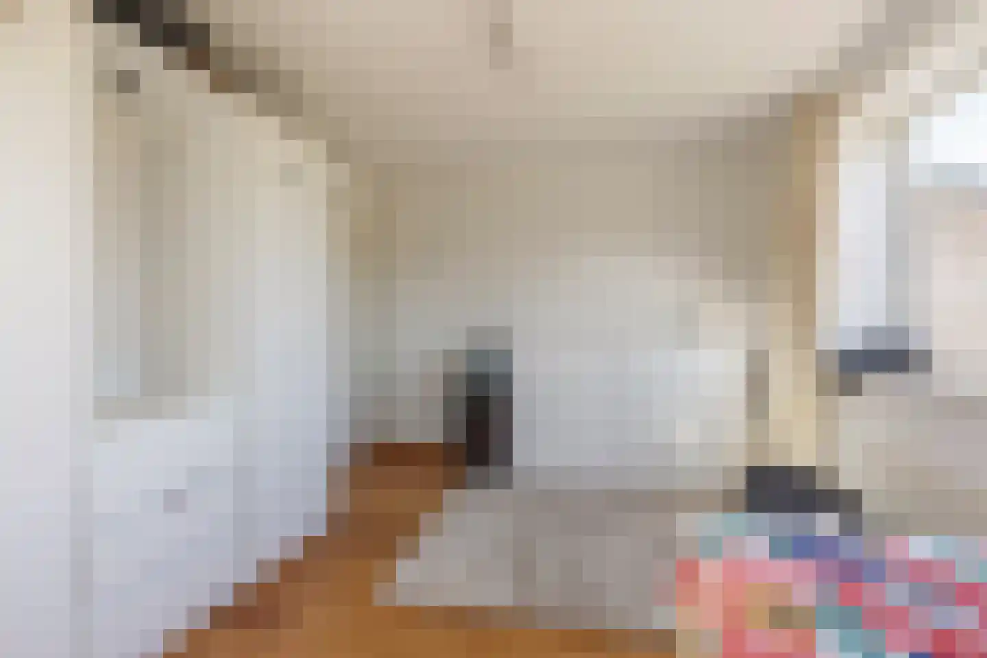 Parosstraat 6 Amsterdam thumbnail 25