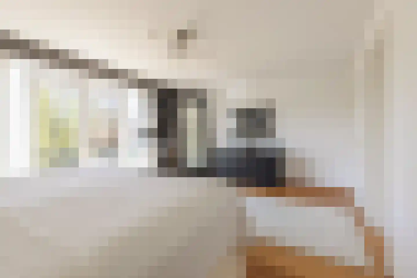 Parosstraat 6 Amsterdam thumbnail 31