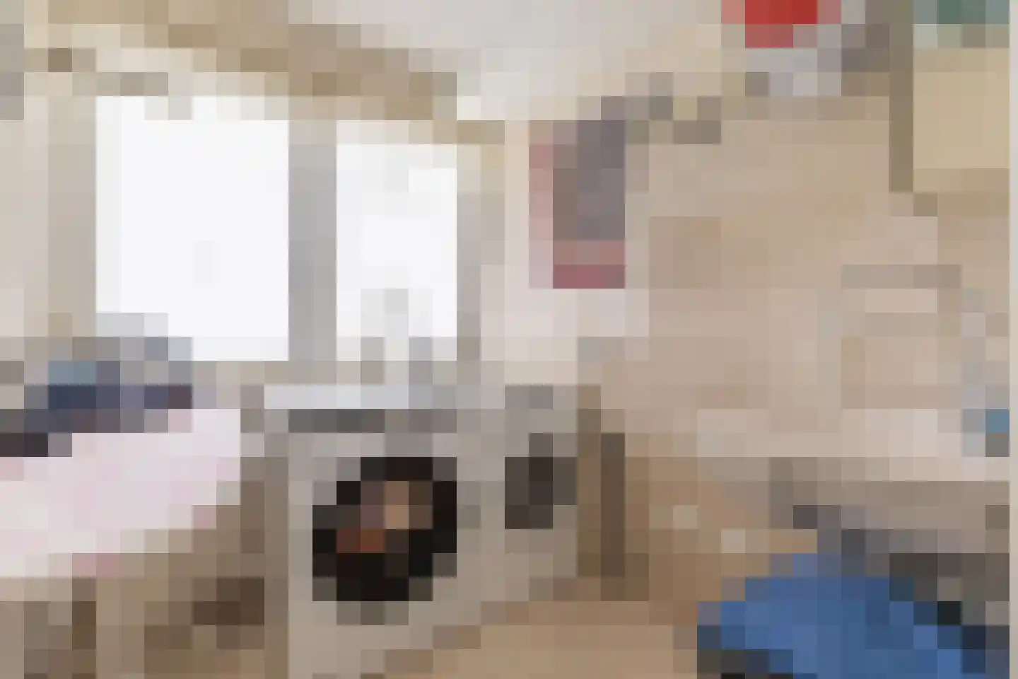 Parosstraat 6 Amsterdam thumbnail 37