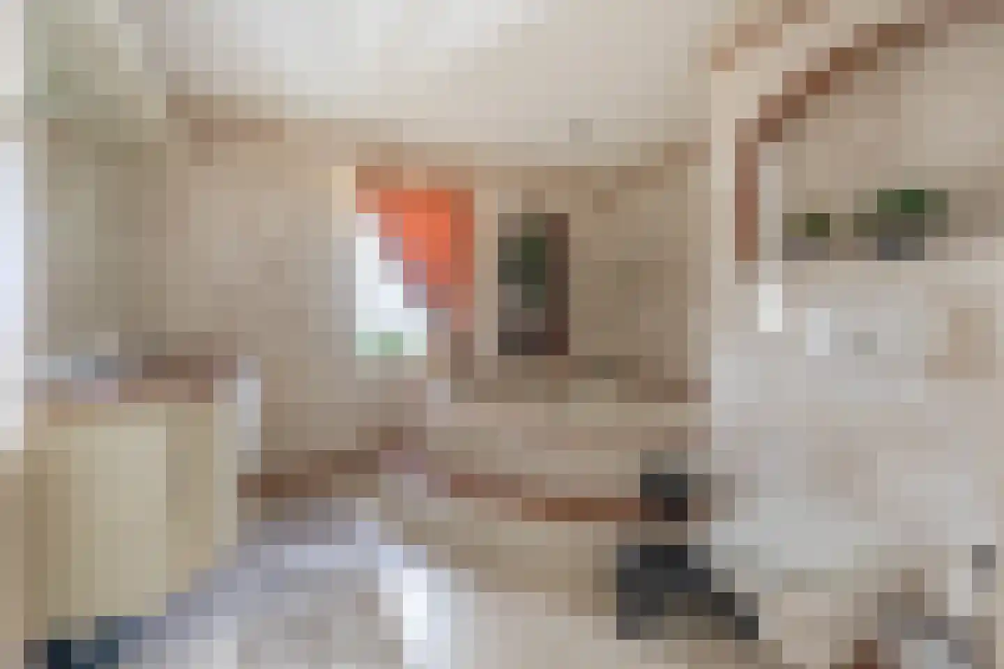 Parosstraat 6 Amsterdam thumbnail 38