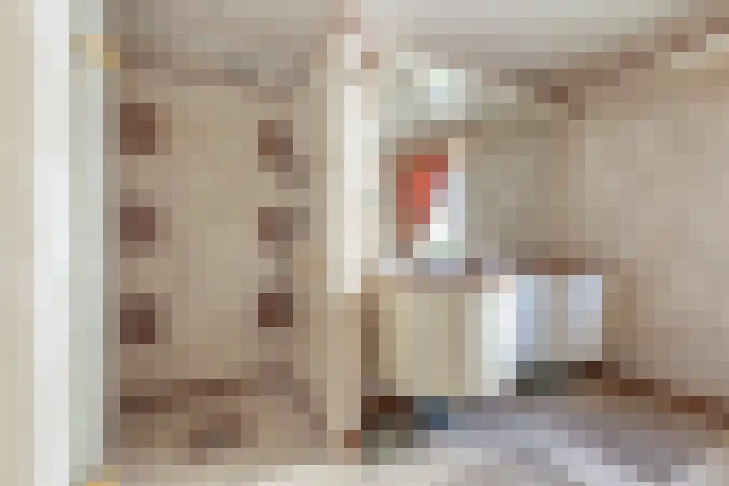 Parosstraat 6 Amsterdam thumbnail 39