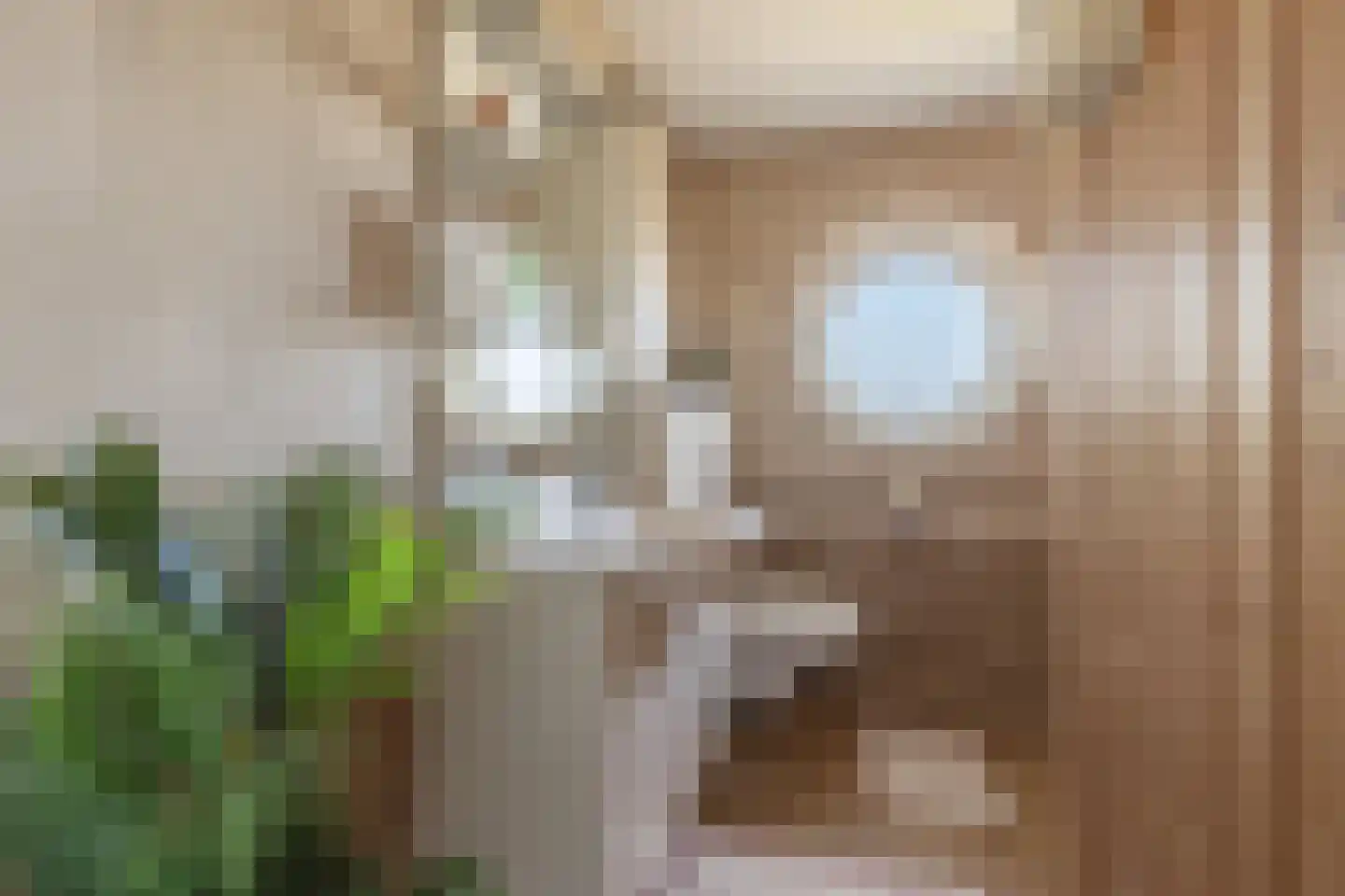 Parosstraat 6 Amsterdam thumbnail 47
