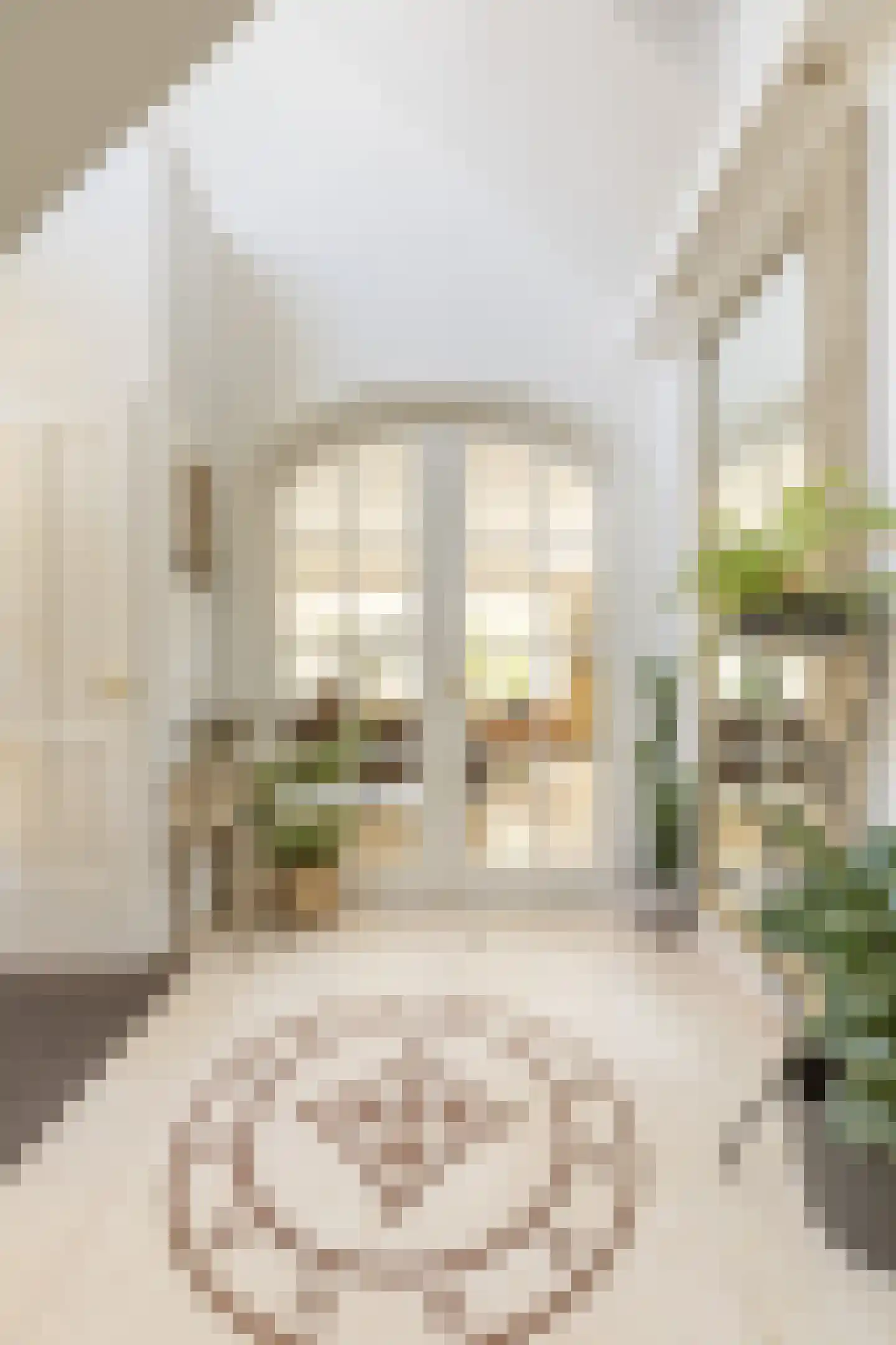 Parosstraat 6 Amsterdam thumbnail 5