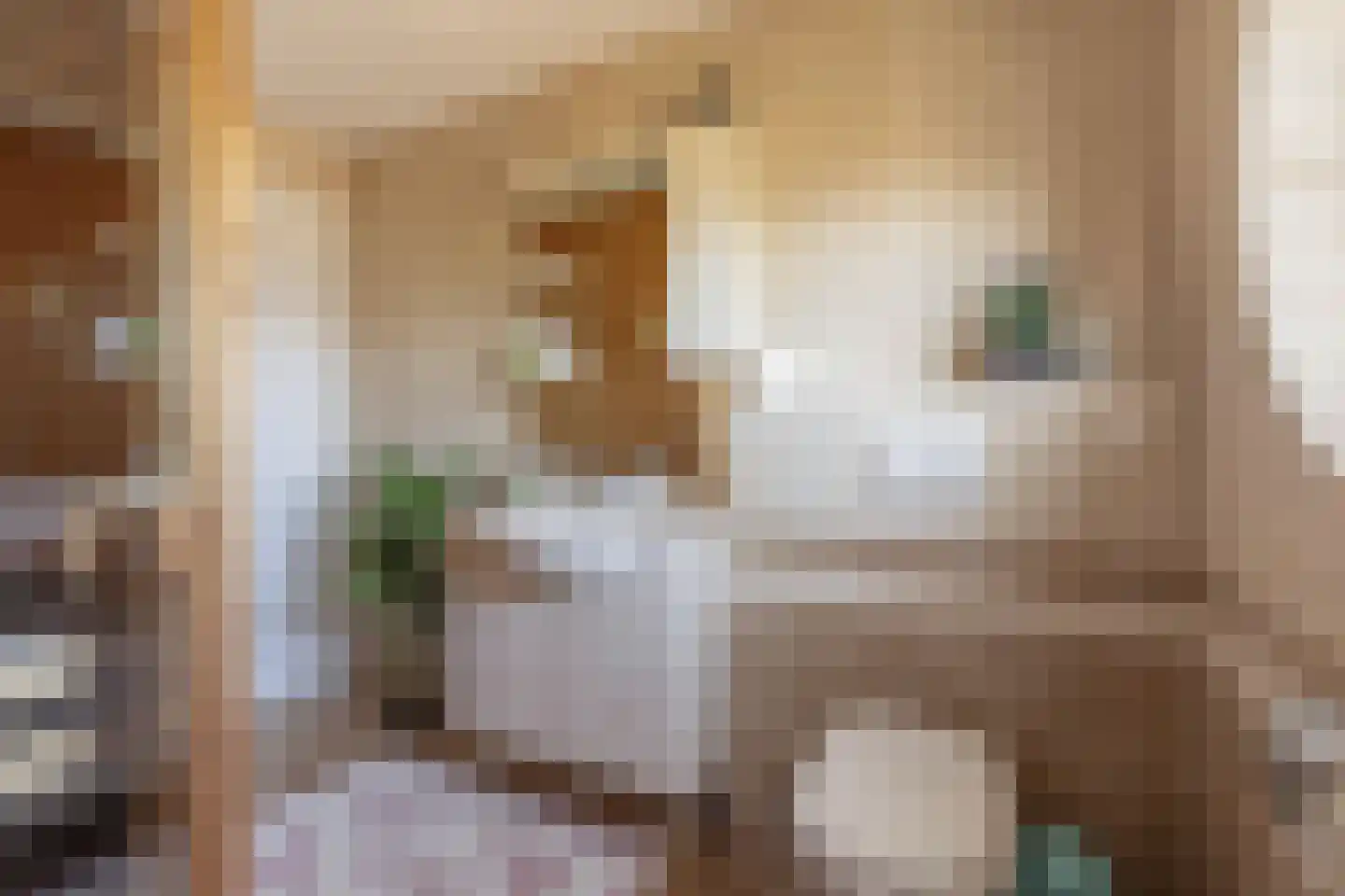 Parosstraat 6 Amsterdam thumbnail 51