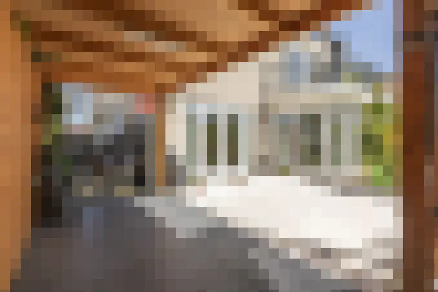 Parosstraat 6 Amsterdam thumbnail 57
