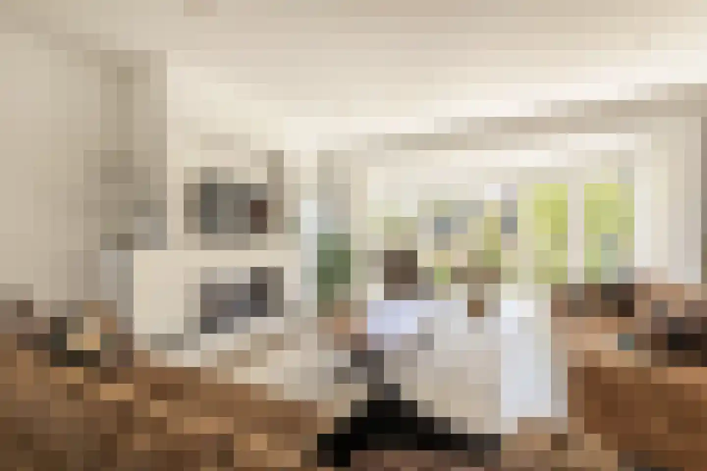 Parosstraat 6 Amsterdam thumbnail 7