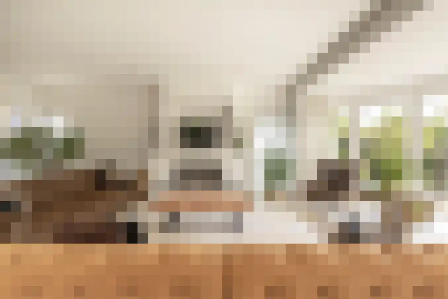 Parosstraat 6 Amsterdam thumbnail 8