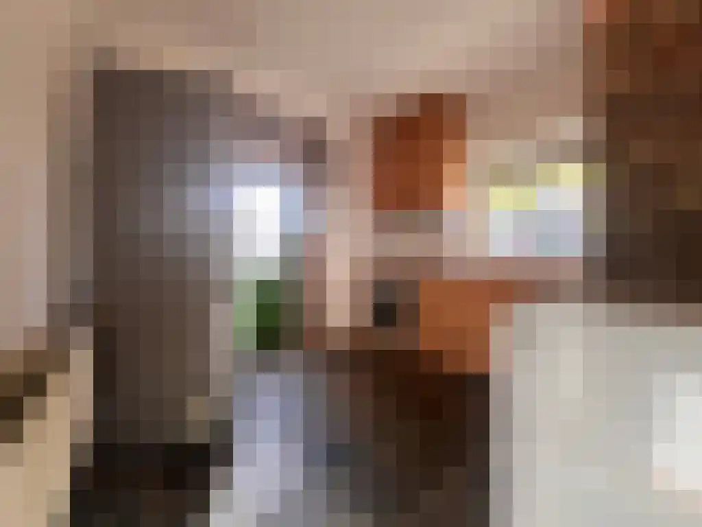 Parrestraat 11 A Eijsden thumbnail 6