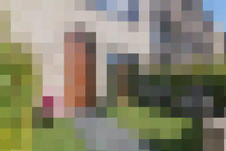 Parsifalpad 25 Amersfoort thumbnail 31