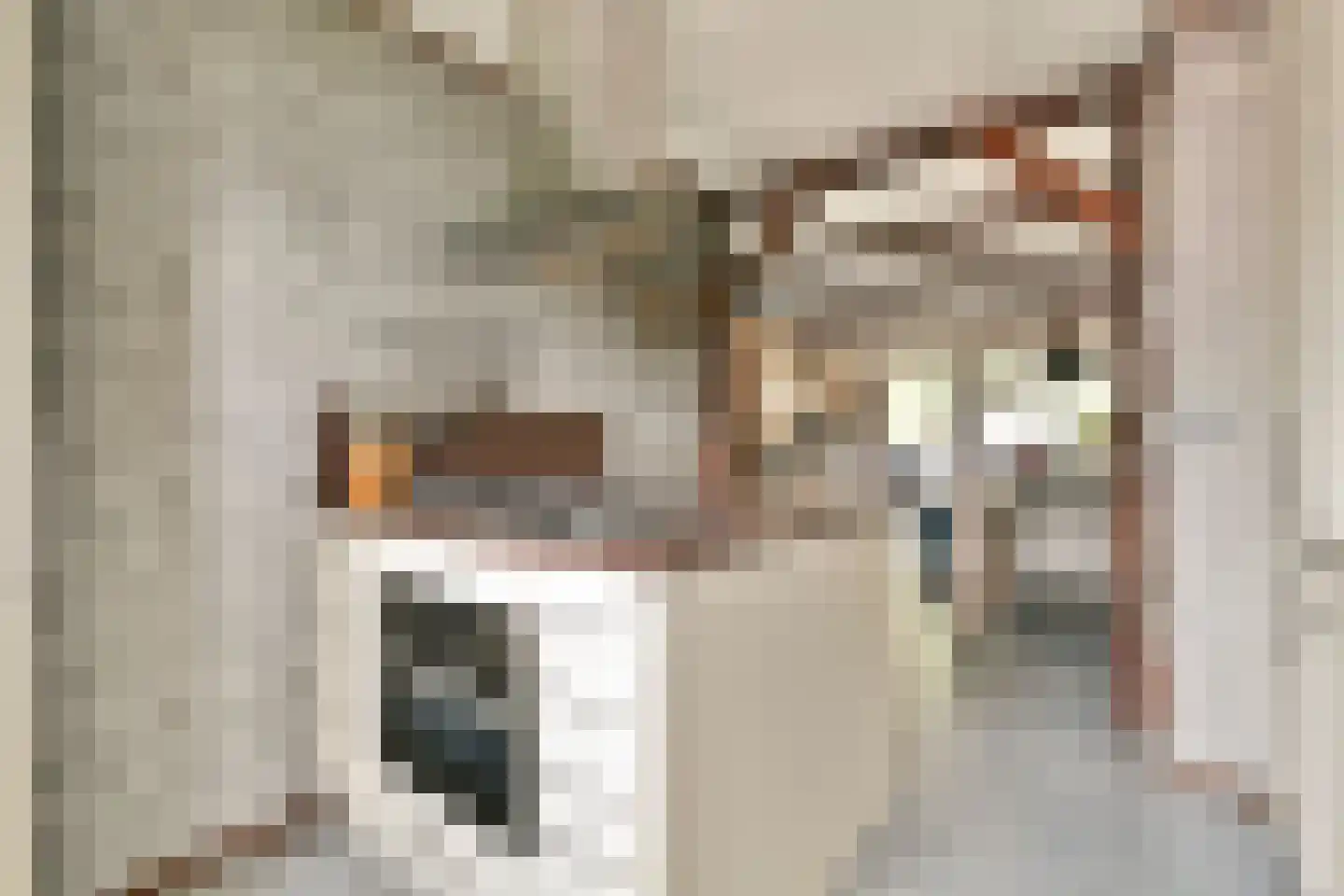 Parsifalstraat 11 Hoogvliet Rotterdam thumbnail 15