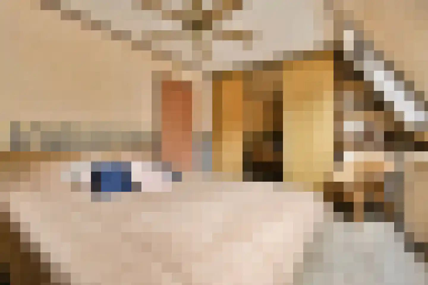 Parsifalstraat 11 Hoogvliet Rotterdam thumbnail 17