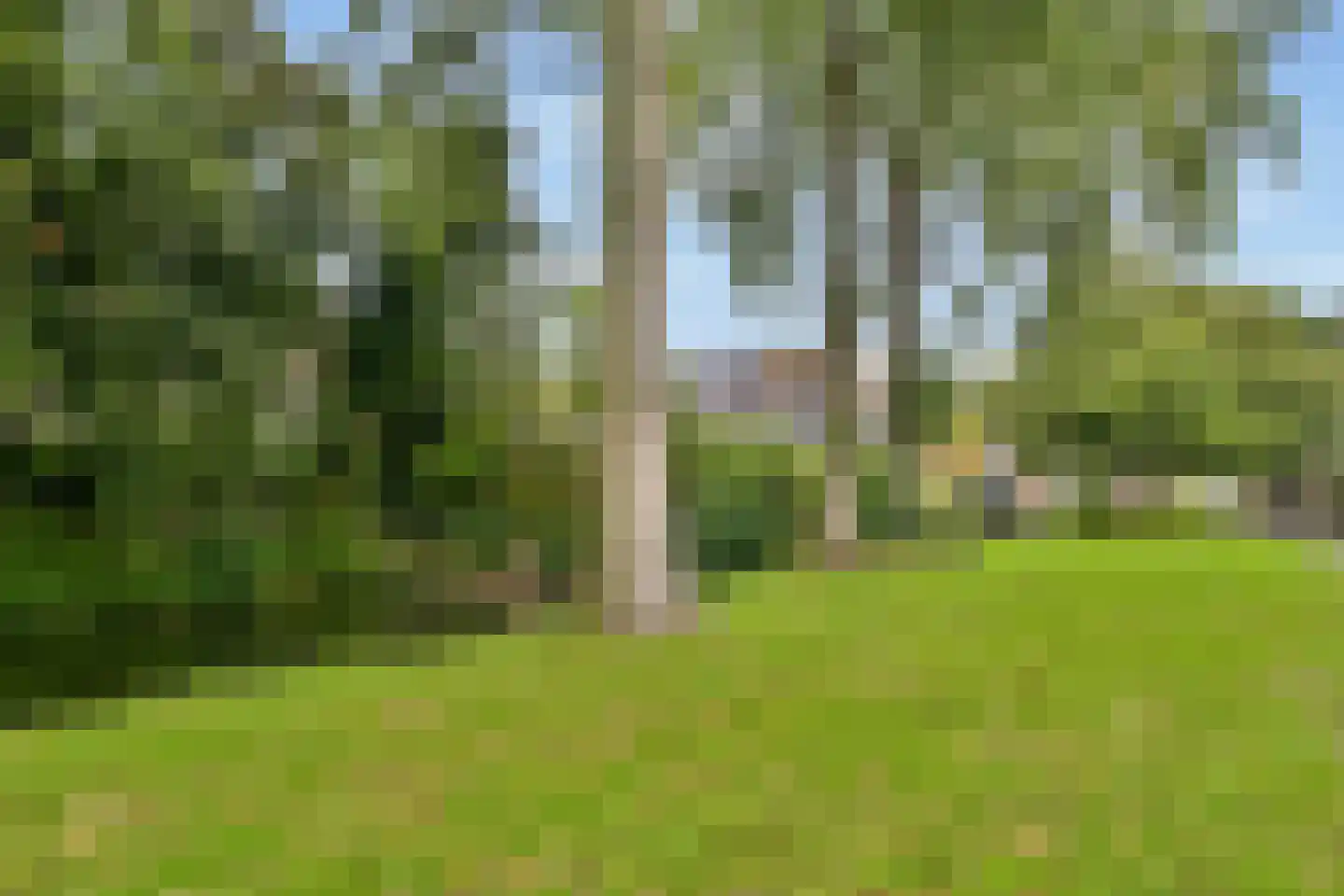 Parsifalstraat 11 Hoogvliet Rotterdam thumbnail 33