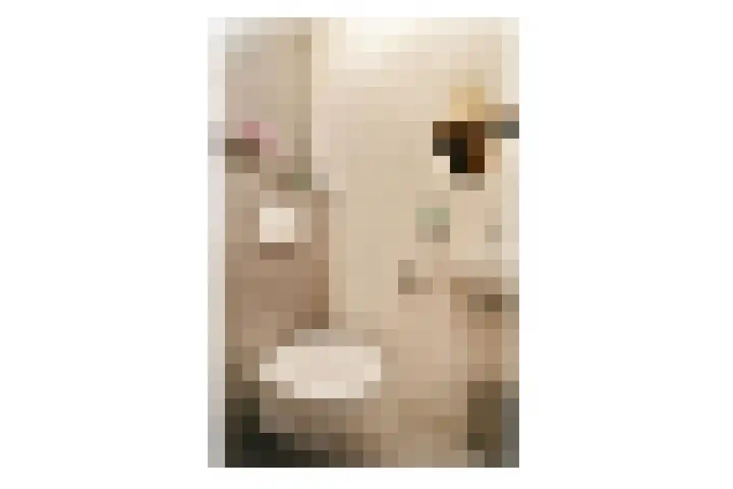 Parsifalstraat 11 Hoogvliet Rotterdam thumbnail 8
