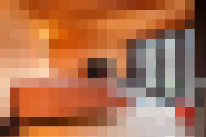 Parterre 2 Almelo thumbnail 20