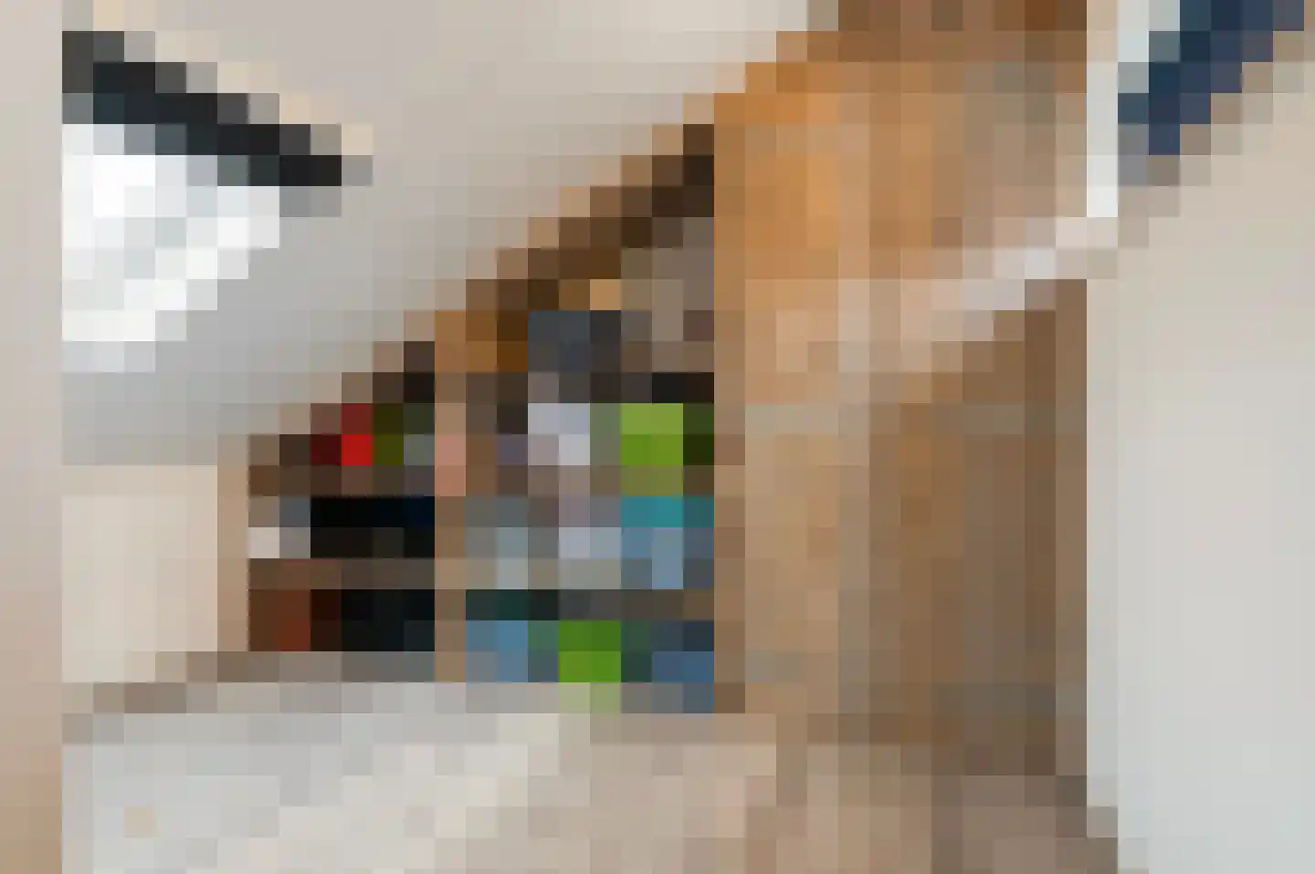 Parterre 2 Almelo thumbnail 38
