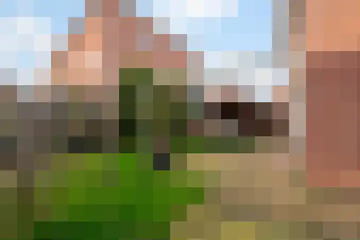 Parterre 2 Almelo thumbnail 43