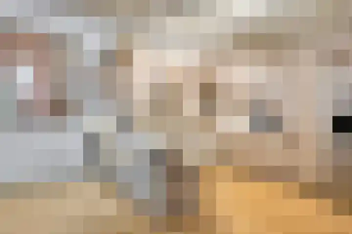 Parterre 2 Almelo thumbnail 51