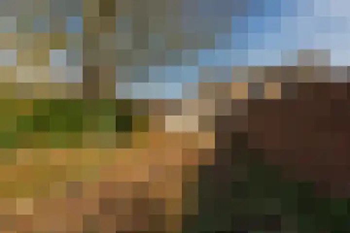 Partijerweg 12 Wittem thumbnail 30