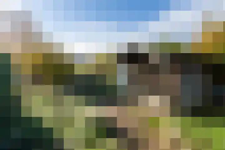 Partijerweg 12 Wittem thumbnail 32