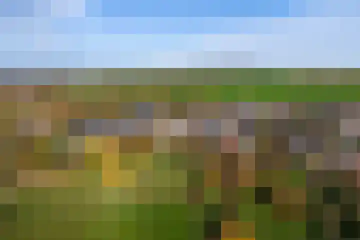 Partijerweg 12 Wittem thumbnail 38