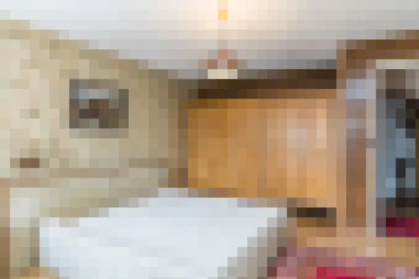 Partijerweg 41 Wittem thumbnail 28