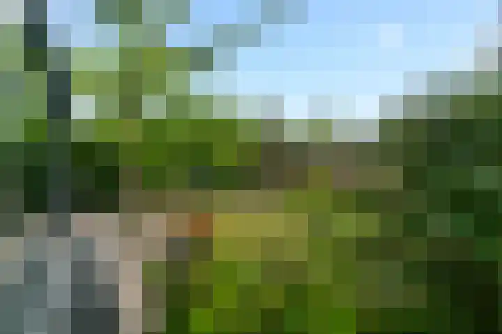 Partitastraat 12 Almere thumbnail 19