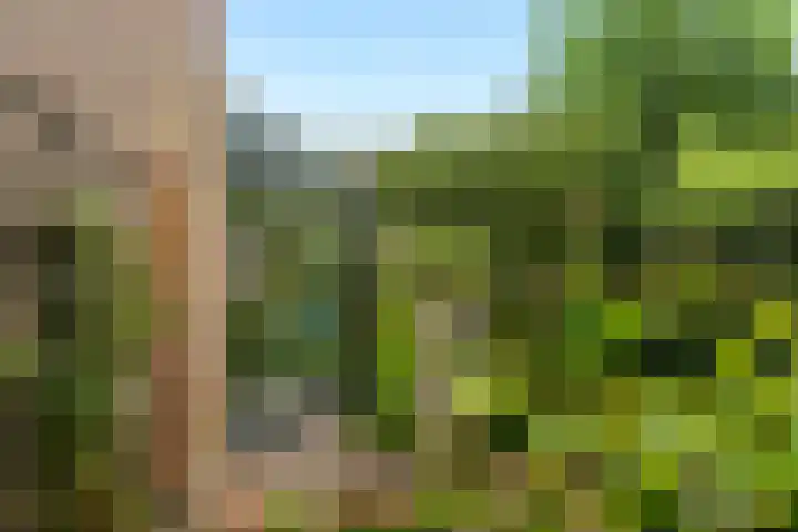 Partitastraat 12 Almere thumbnail 20