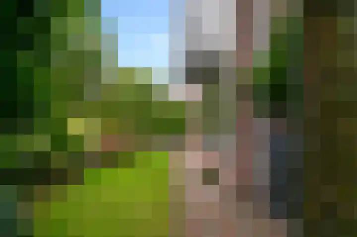 Partitastraat 12 Almere thumbnail 23