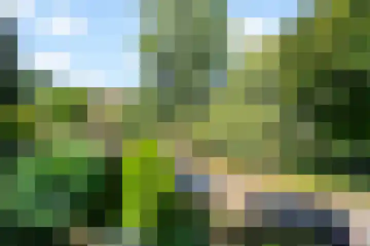 Partitastraat 12 Almere thumbnail 32