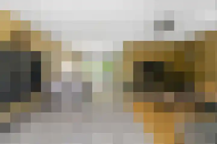 Partitastraat 12 Almere thumbnail 4