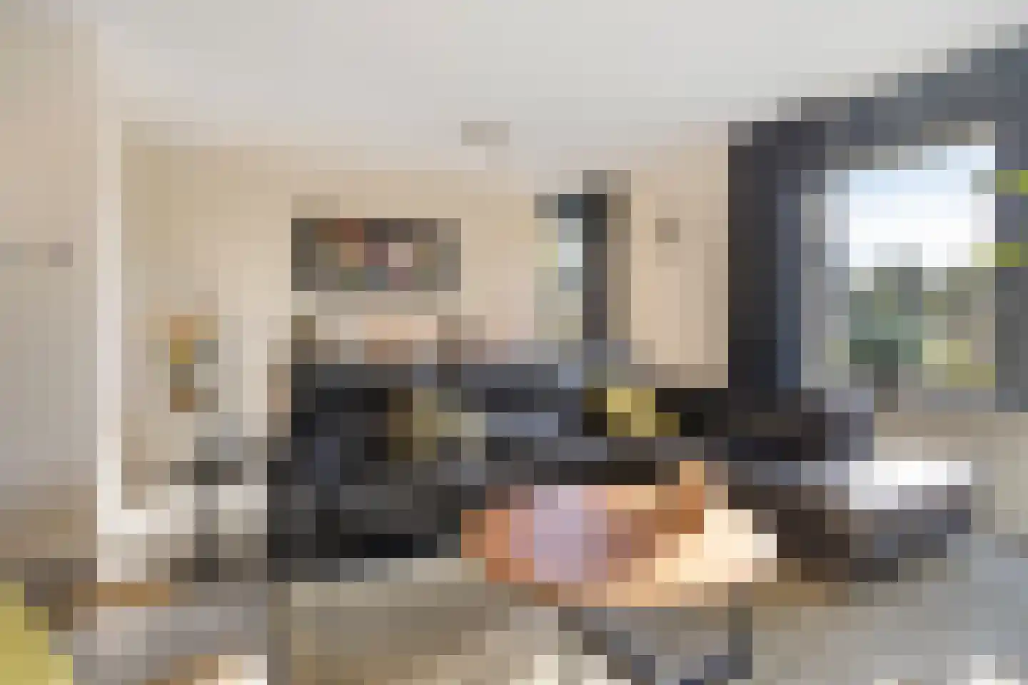 Partituurweg 17 Rosmalen thumbnail 6
